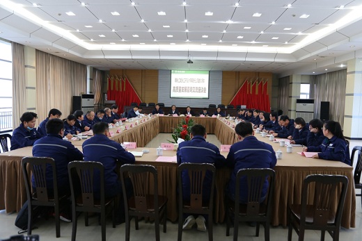 設計院成立三十周年暨高質量發展咨詢交流座談會召開