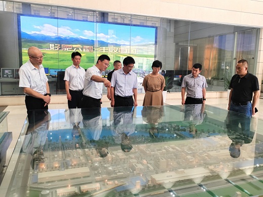 桐城市尋求與六國化工開展產業合作