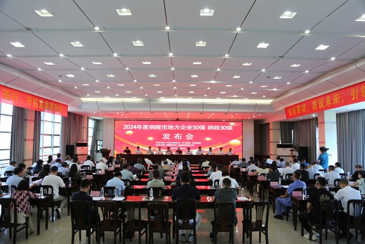 市地方企業兩個最新“強榜”發布    銅化集團均位居前列