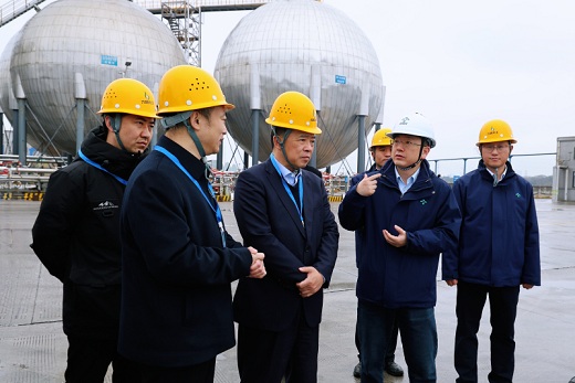 楊宏星來六國化工調研科技創新工作