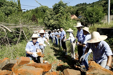 新橋百名黨員齊上陣  整治環境美家園