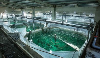喜報！國信集團兩家水產品公司入選青島首批新經濟潛力企業
