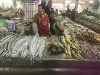 浙江水產市場現“黃金海鮮” 一斤飆至五百元，朋友圈里的價格驚嘆號