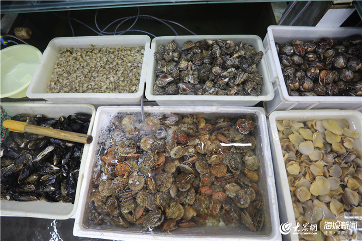 青島 休漁期水產(chǎn)品批發(fā)市場(chǎng)貨源充足，品類(lèi)豐富價(jià)格穩(wěn)
