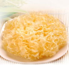 水產(chǎn)品養(yǎng)生 尚錦健康99系列特薦